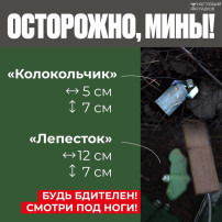 Осторожно, мины! Осторожно, мины!.